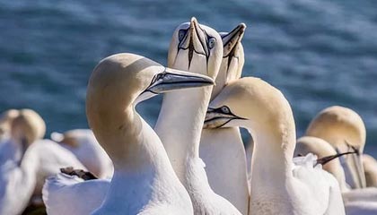 赫塔菲迎来历史性一战，坚守不败